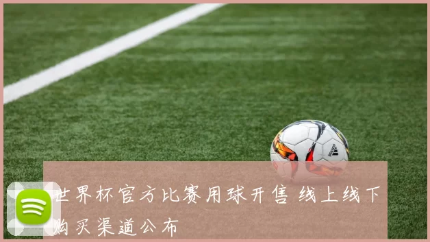 世界杯官方比赛用球开售 线上线下购买渠道公布
