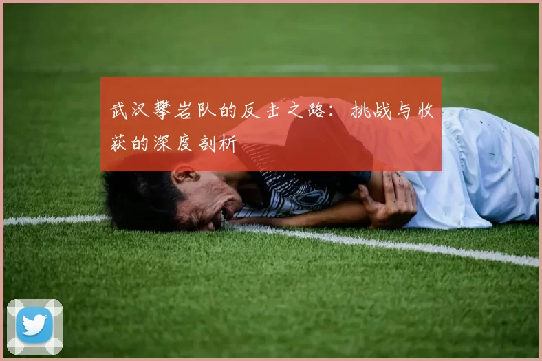 武汉攀岩队的反击之路：挑战与收获的深度剖析
