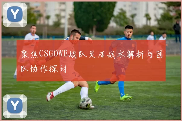 聚焦CSGOWE战队灵活战术解析与团队协作探讨