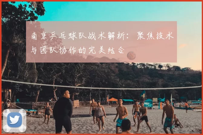 南京乒乓球队战术解析：聚焦技术与团队协作的完美结合