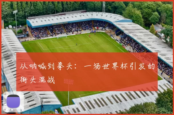 从呐喊到拳头:一场世界杯引发的街头混战