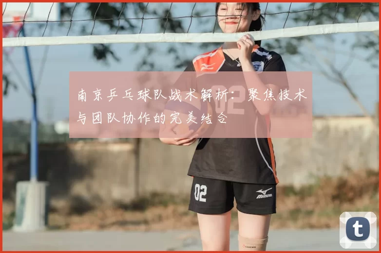 南京乒乓球队战术解析：聚焦技术与团队协作的完美结合