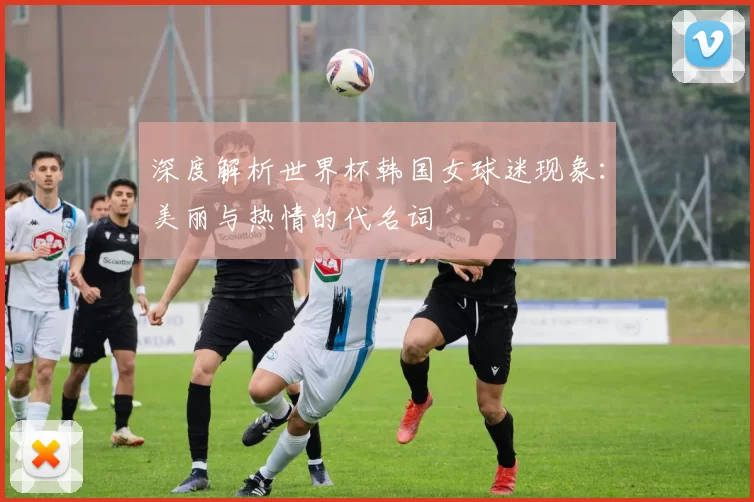 深度解析世界杯韩国女球迷现象：美丽与热情的代名词
