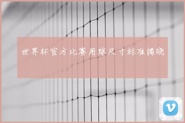 世界杯官方比赛用球尺寸标准揭晓