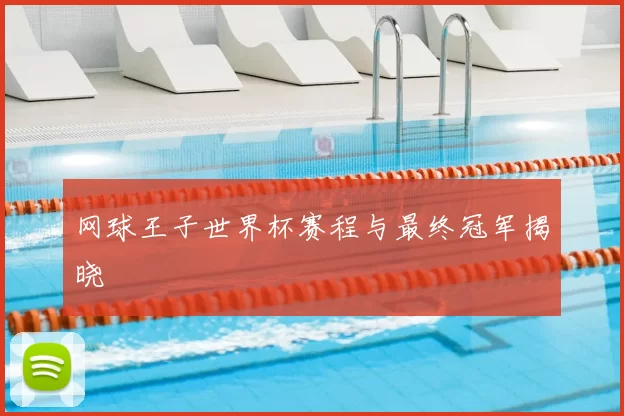 网球王子世界杯赛程与最终冠军揭晓