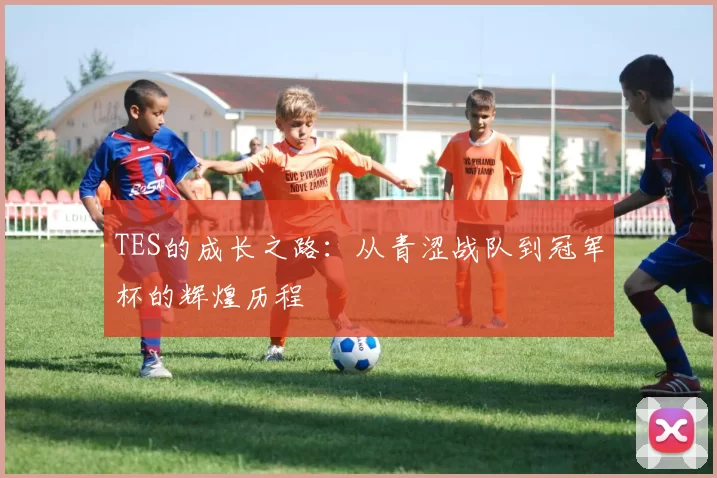 TES的成长之路：从青涩战队到冠军杯的辉煌历程