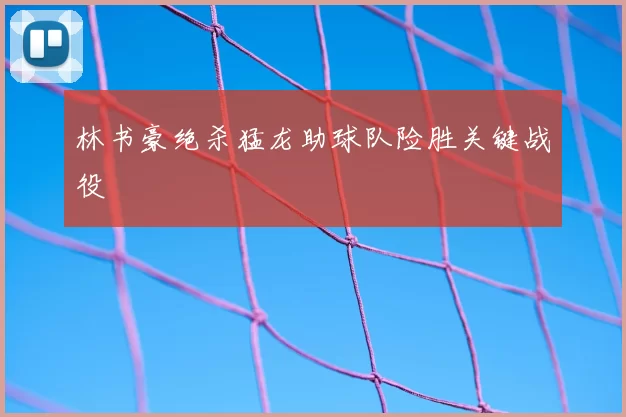林书豪绝杀猛龙助球队险胜关键战役