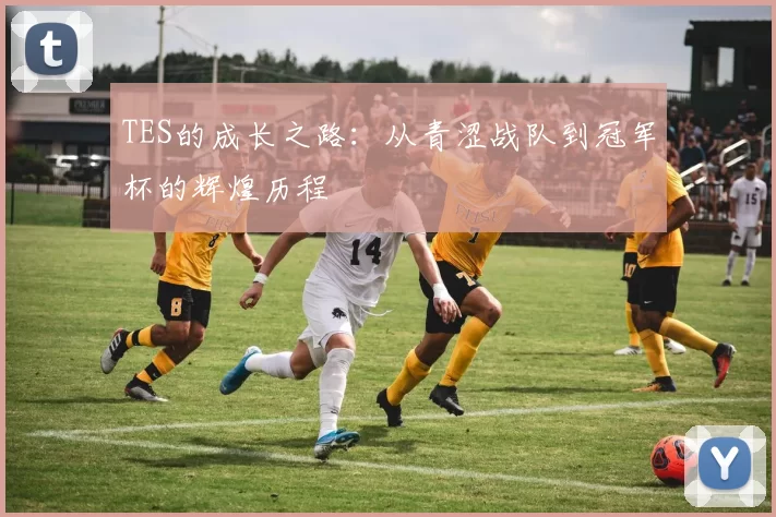 TES的成长之路：从青涩战队到冠军杯的辉煌历程