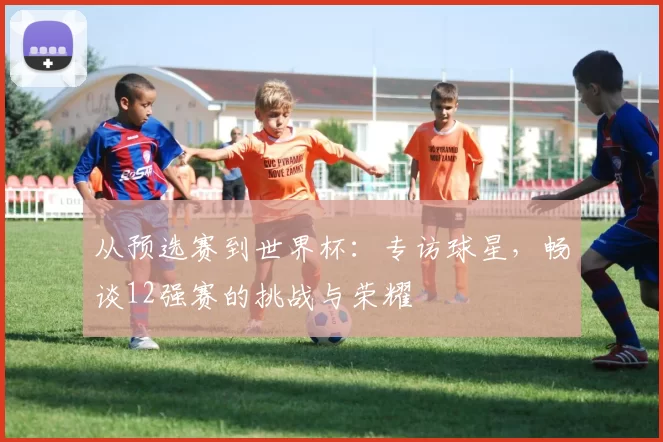 从预选赛到世界杯:专访球星,畅谈12强赛的挑战与荣耀