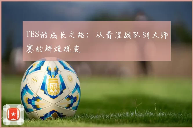 TES的成长之路：从青涩战队到大师赛的辉煌蜕变